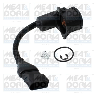 Control Element, parking brake caliper